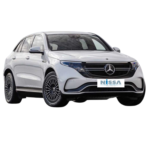 Mercedes EQC или аналог в Турции