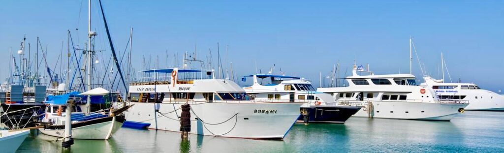 АРЕНДА ЯХТ И КАТЕРОВ В ЛАРНАКЕ — МОРСКИЕ ПРОГУЛКИ И ТРОФЕЙНАЯ РЫБАЛКА 24/7