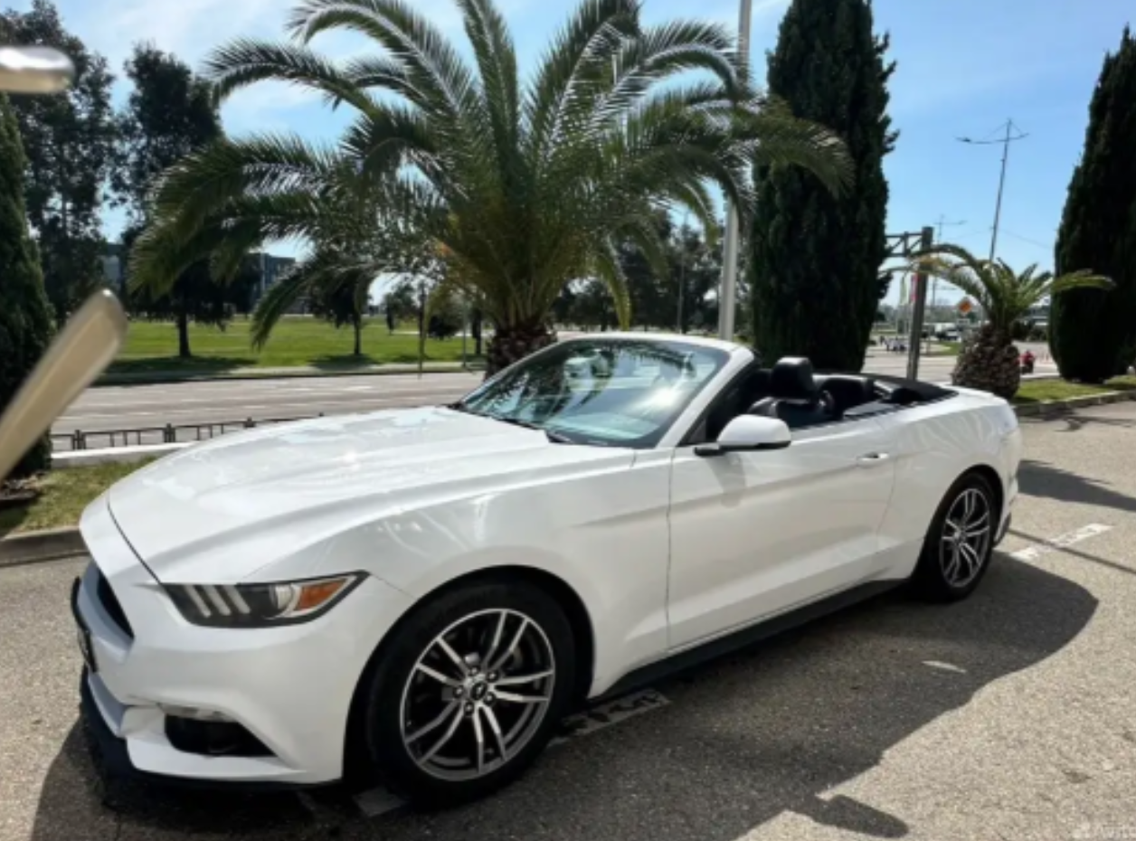 Ford Mustang кабриолет белый 2017-2019 или аналог в Новом Афоне, Абхазия